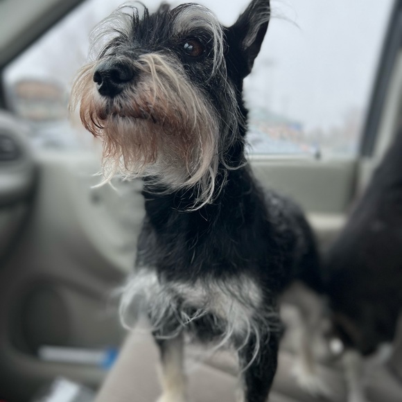 Hello, it’s Jenna and Lari! Thanks for stopping by!! - Picture 11 of 13